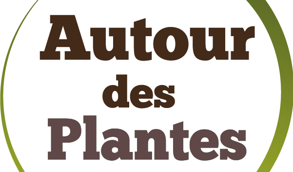 Autour des plantes se réinvente pour sa démarche éco responsable